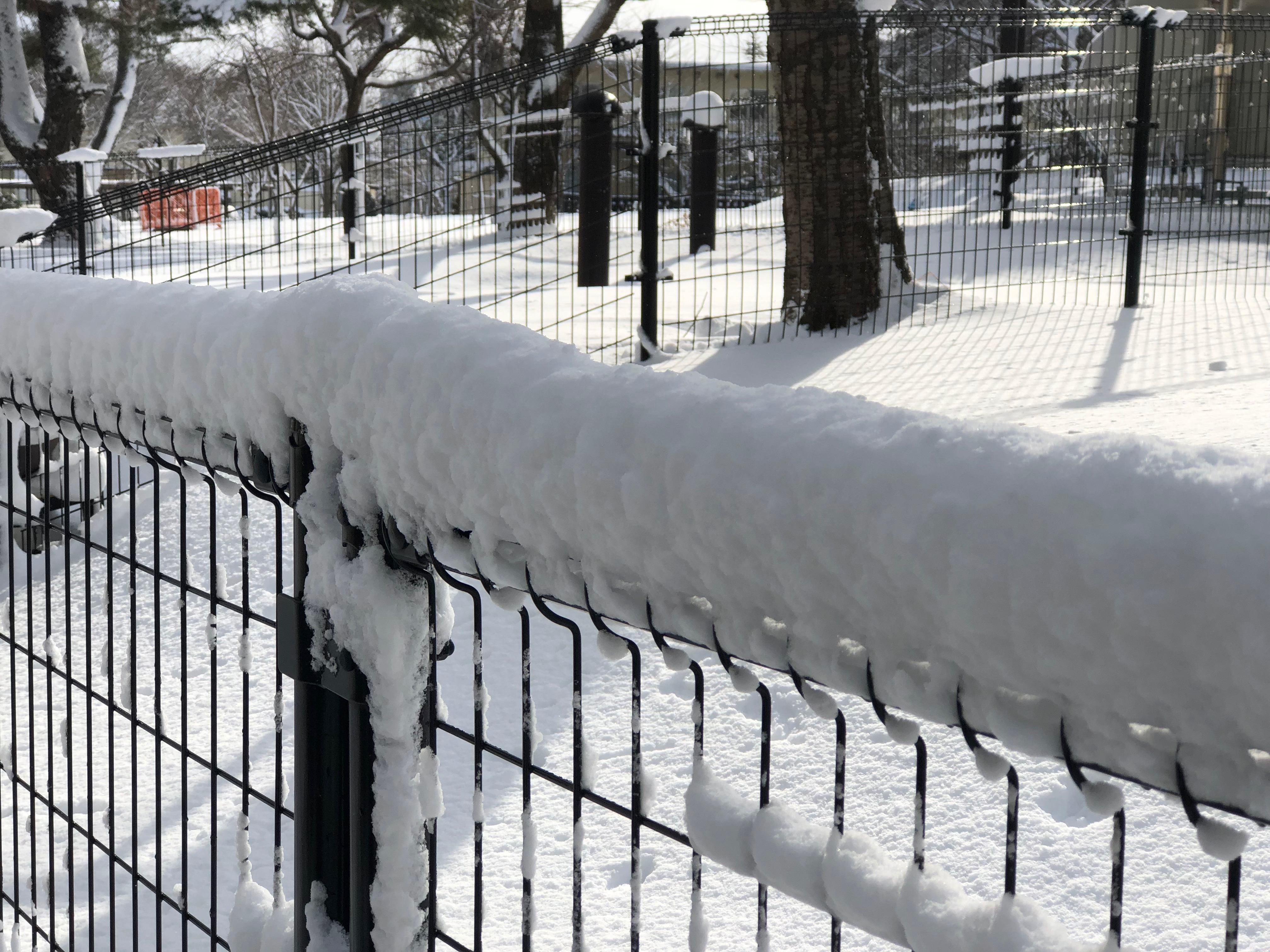 Misawa Snow Fence