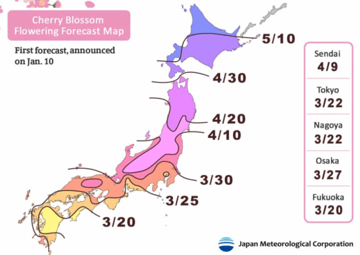 Screen Shot 2019-01-29 at 5.07.19 PM