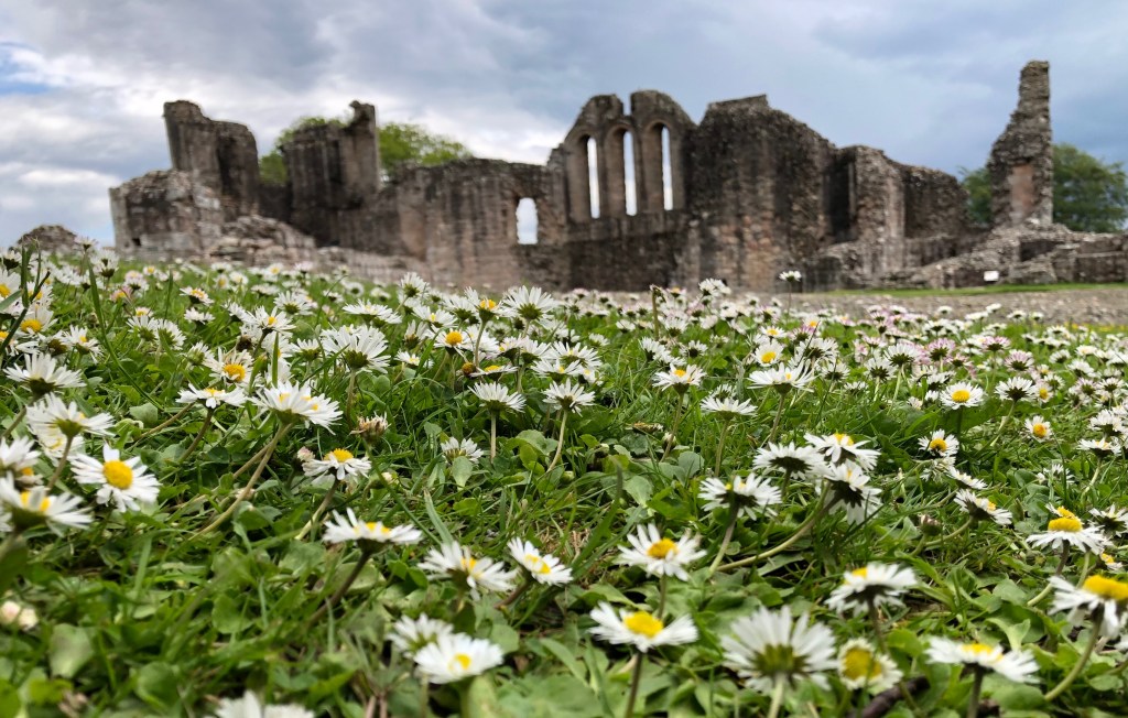 Flowery View of Kildrummy&nbsp;Castle