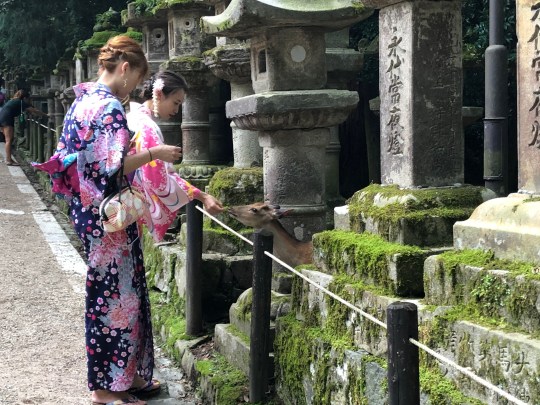 Kasuga Taisha Temple