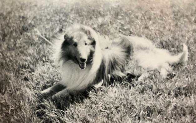 Lad (Black and white)